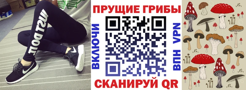 Купить где  Руза  Псилоцибиновые грибы Psilocybine cubensis 