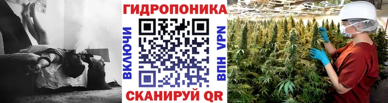 Бошки марихуана индика Руза