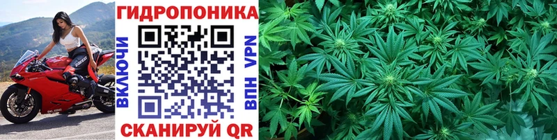 МАРИХУАНА VHQ  Купить  Руза 